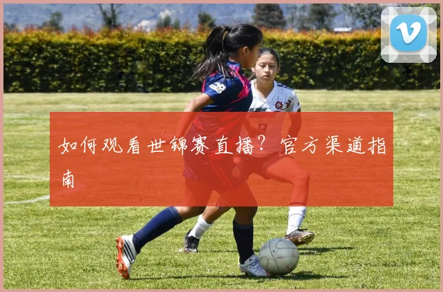 如何观看世锦赛直播?官方渠道指南