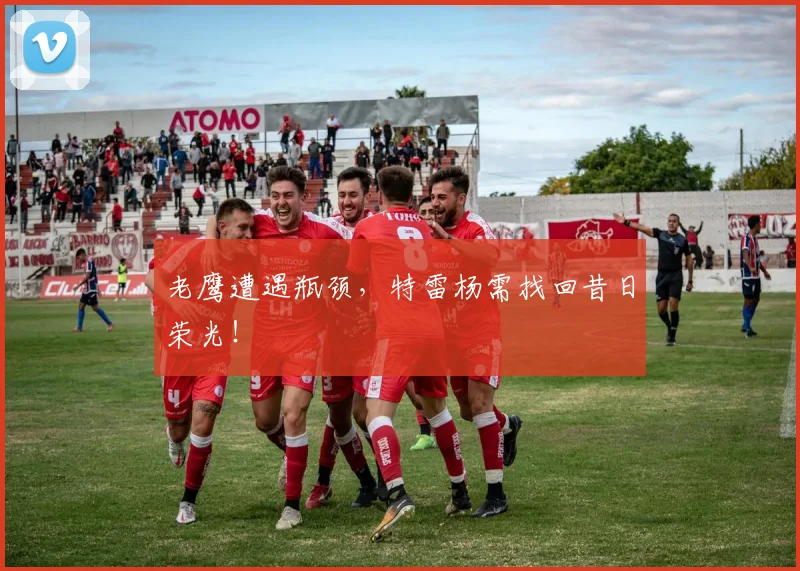 老鹰遭遇瓶颈,特雷杨需找回昔日荣光!