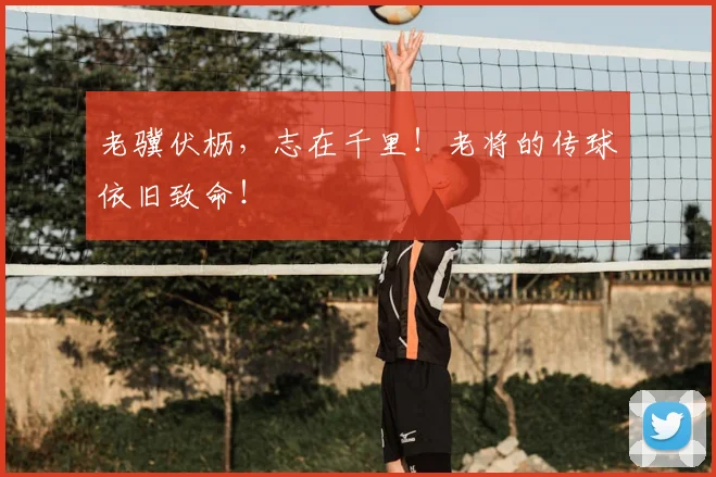 老骥伏枥,志在千里!老将的传球依旧致命!